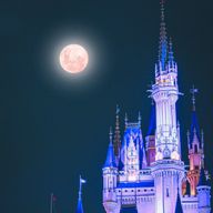 madamさんのアイコン画像