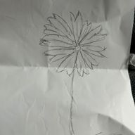 八木さんのアイコン画像