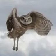 咲良儚さんのアイコン画像