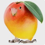 咲良儚さんのアイコン画像