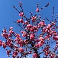 h3さんのアイコン画像