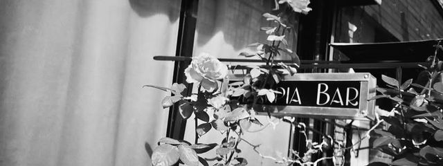 名無しさんの壁紙画像