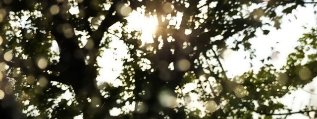 カイムさんの壁紙画像