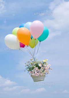 星海コンテスト！［開催！］