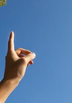 この指、止まれ。