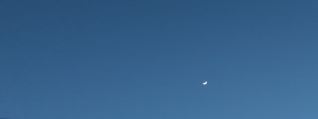 aoiさんの壁紙画像