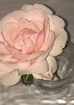 信じて欲しかったなぁ…