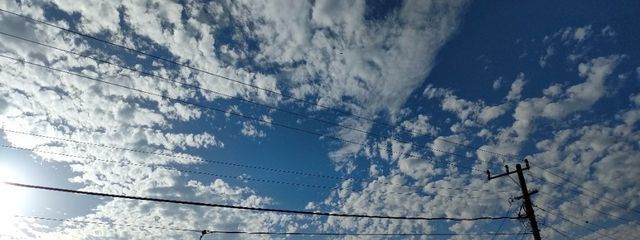 れんさんの壁紙画像