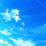 雀さんのアイコン画像