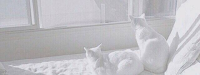  璃想 #not浮上さんの壁紙画像