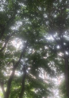rjnp 