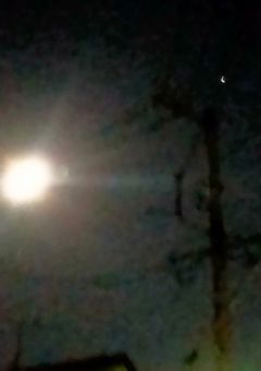 偽りの世界で君と