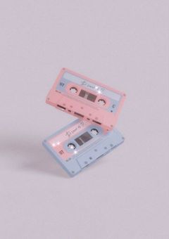 〜세븐틴 가족〜