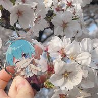 ころろこさんのアイコン画像