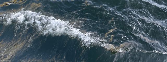 Ragiさんの壁紙画像