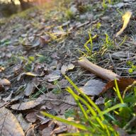 Ragiさんのアイコン画像