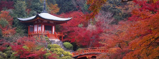 紅鞠　幽音さんの壁紙画像