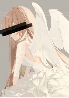 透明な翼