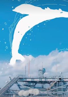 音楽紹介