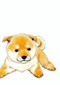 せいやに疲れを癒してもらおう