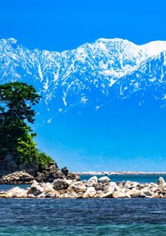 白ひげのとこの娘