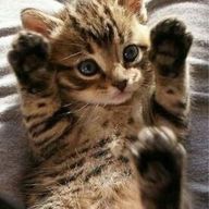 アニオタさんのアイコン画像