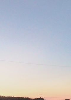 月下美人の花束を君に afterstory