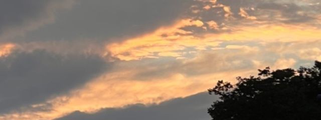 あさんの壁紙画像