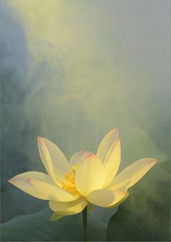 　はなはす からの 🔔 など …　