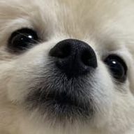 tendago×.×さんのアイコン画像