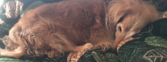 るか＠不定期投稿さんの壁紙画像