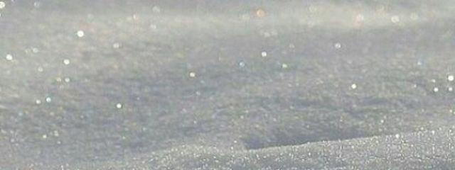 春星 . さんの壁紙画像