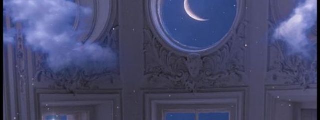 きっと 綺麗に 生まれたかったなさんの壁紙画像