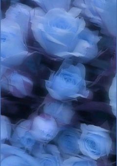 ニーゴの一人、青柳冬弥の姉らしい