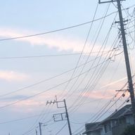 REIさんのアイコン画像