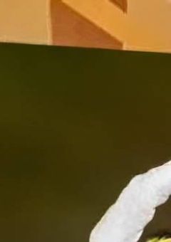 元推しが自殺しようとしてたので止めたら依存してった件