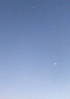 宝  石  病  院  生  活  記  録   ✎५ 【TREASURE】