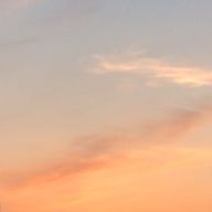 志 帆さんのアイコン画像