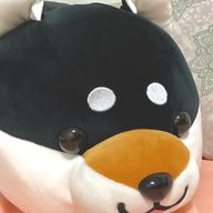 黒豆さんのアイコン画像