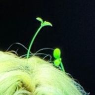 ミ⛈👻さんのアイコン画像