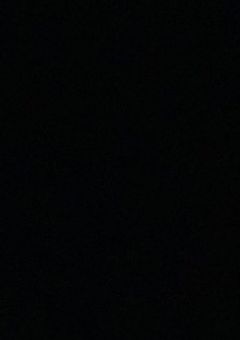 病に苦しむ花塵夜に舞