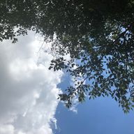 usさんのアイコン画像