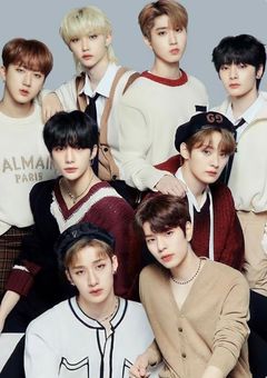 ☆*:.｡.𝕤𝕥𝕣𝕒𝕪𝕜𝕚𝕕𝕤.｡.:*☆