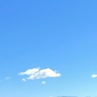 たわしさんのアイコン画像