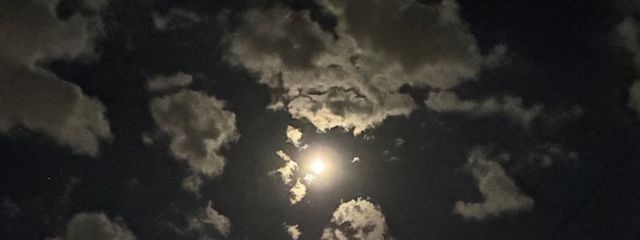 みそしるさんの壁紙画像