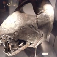 ダンくるさんのアイコン画像