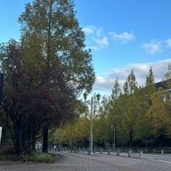 なっちゃんさんのアイコン画像