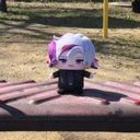 主