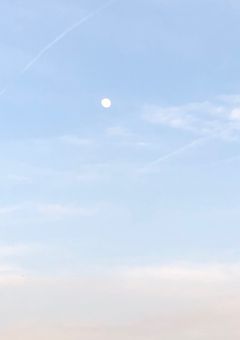 いつも配達に来る人は 🌈🕒