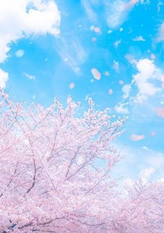 6大財閥の次期当主たち